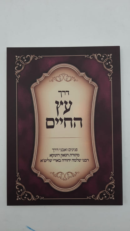 דרך עץ החיים - (הינוקא) רבנו שלמה יהודה בארי שליט''א