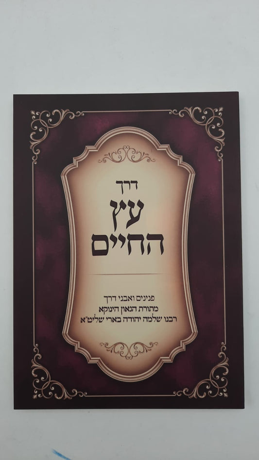 דרך עץ החיים - (הינוקא) רבנו שלמה יהודה בארי שליט''א