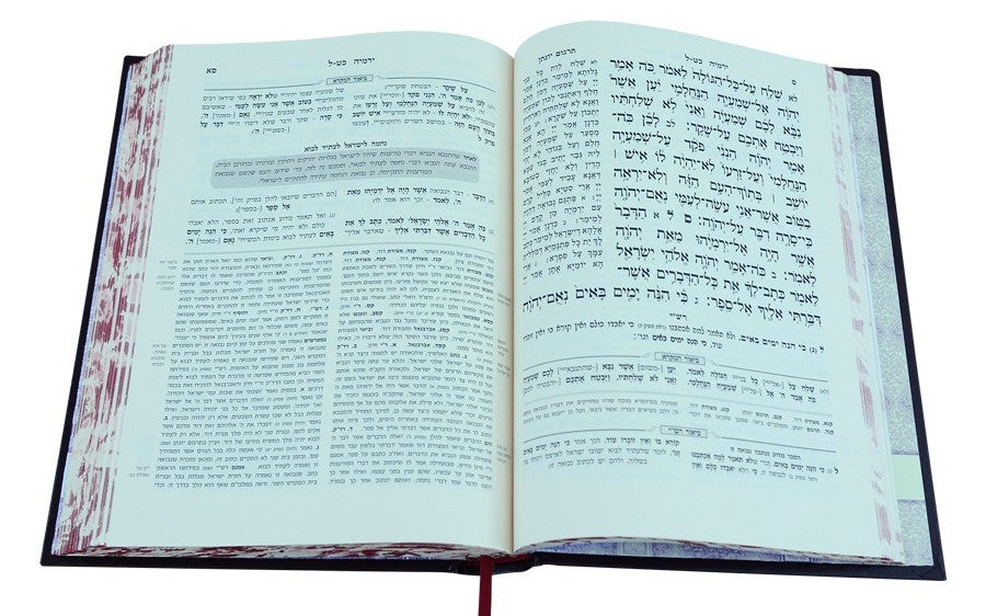 מקרא מפורש על הנ"ך - יחזקאל ב' (כט-מח) / עוז והדר