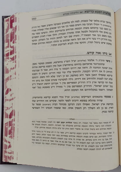 נפלאות הסבא קדישא מראדושיץ - כרך א' / על התורה ומועדים