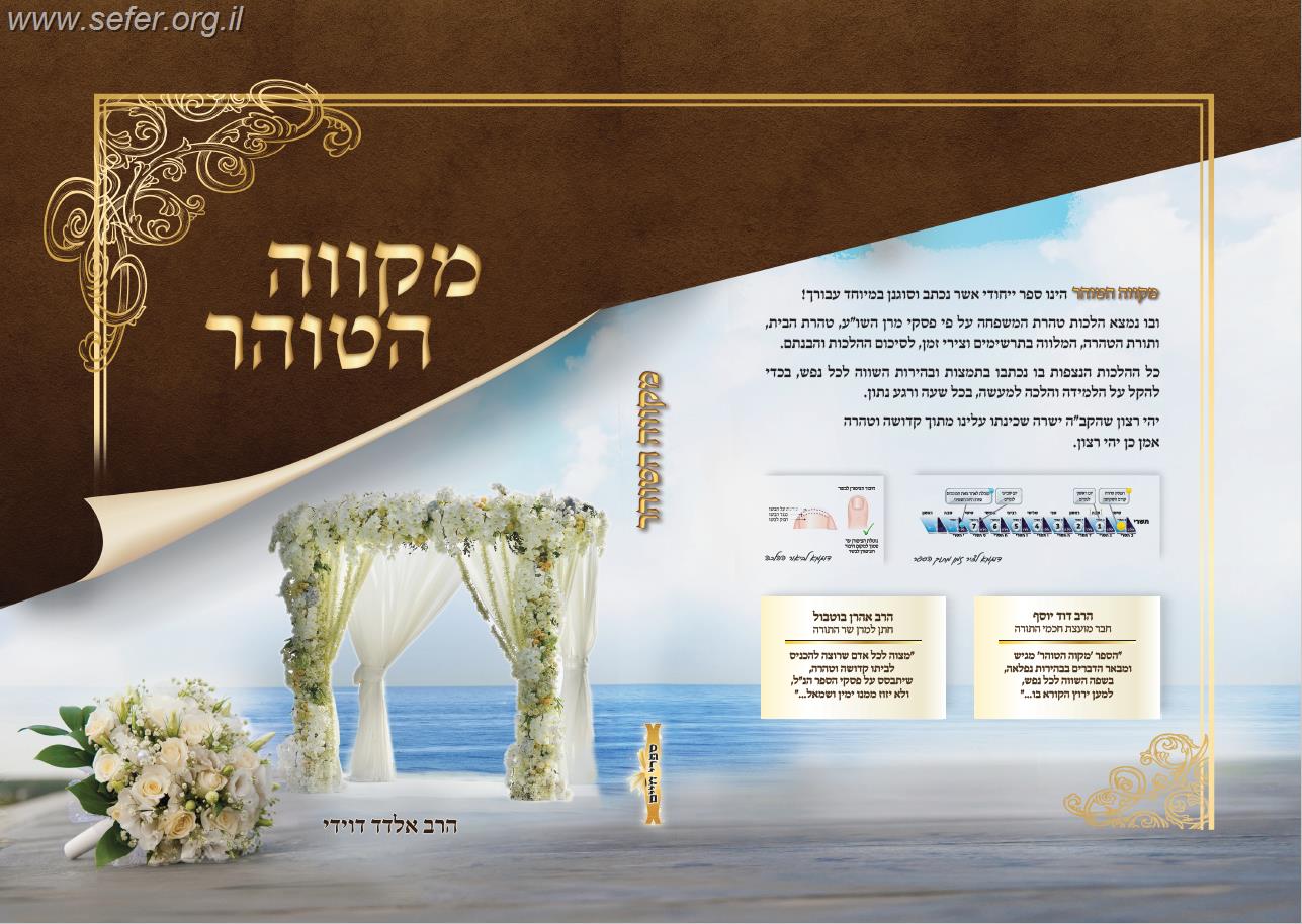 מקווה הטוהר / הרב אלדד דוידי