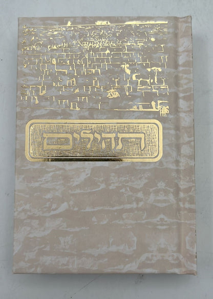 תהילים בינת הלב - בשלל מיני צבעים / פורמט קטן