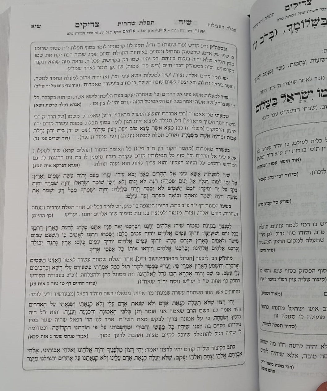סידור שיח צדיקים - לימות החול / פורמט גדול