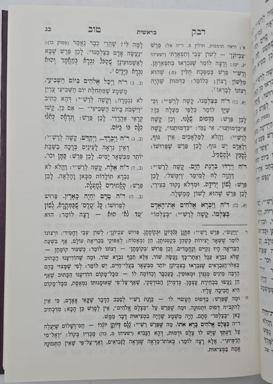 דבק טוב - ביאור על פירוש רש"י / מישור