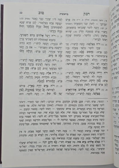 דבק טוב - ביאור על פירוש רש"י / מישור