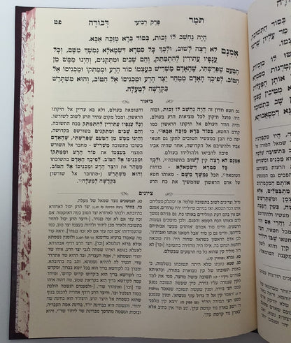 תומר דבורה המבואר / עוז והדר