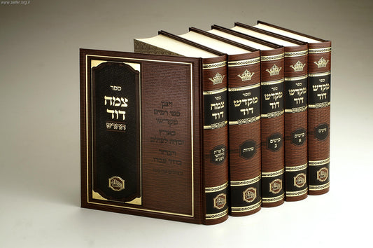 מקדש דוד ה' כרכים / רבי דוד הכהן רפפורט