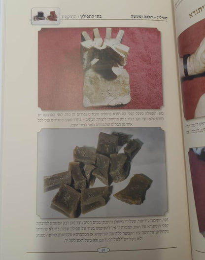 תפילין הלכה ומעשה - ייצור התפילין / הרב צבי כהן