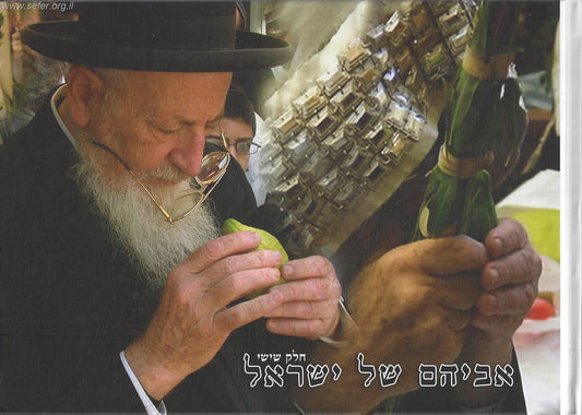 אביהם של ישראל חלק ו' / סיפורים על הראשל"צ הרב מרדכי אליהו זצוק"ל