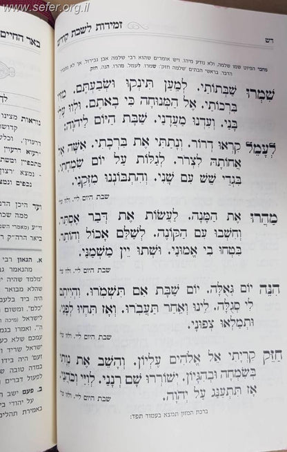 באר החיים - זמירות שבת קודש / ר' אברהם אלימלך בידרמן