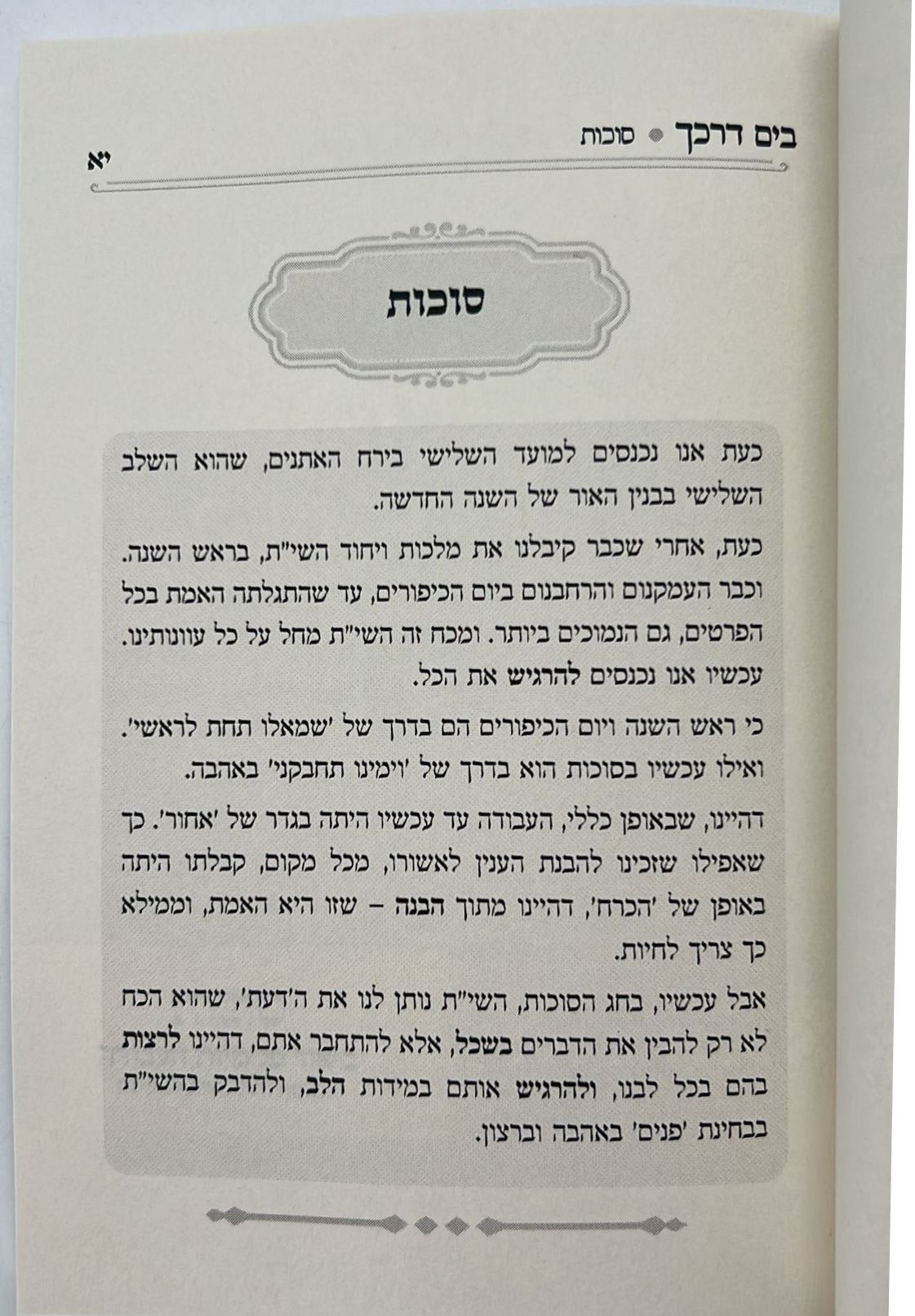 בים דרכך - ביאור פנימיות עבודת המועדים - סוכות הושענא רבה שמחת תורה / הרב י.מ מורגנשטרן