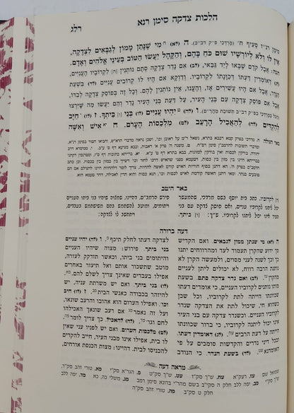 דעה ברורה - על שו"ע יורה דעה סימנים רמ-רסט / הרב אשר הורוביץ שליט"א