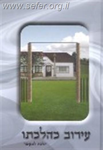 עירוב כהלכתו / הרב אברהם עדס