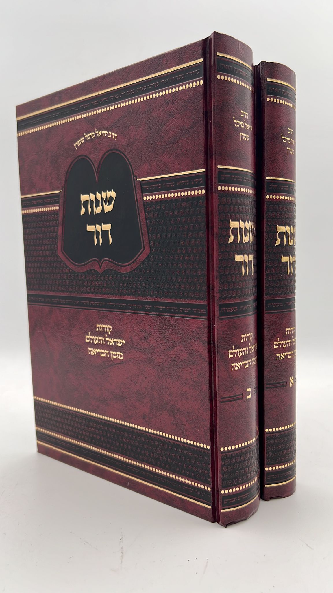 שנות דור הרב שטרן