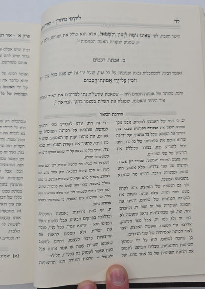 נחית כצאן עמך - ליקוטי מוהר"ן בדרך היחוד והעבודה חלק א' / הרב י.מ מורגנשטרן