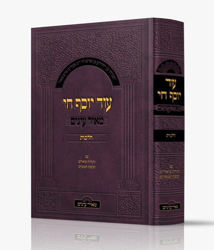 עוד יוסף חי הלכות - מאיר עיניים / עם מקורות וביאורים ושיטות הפוסקים