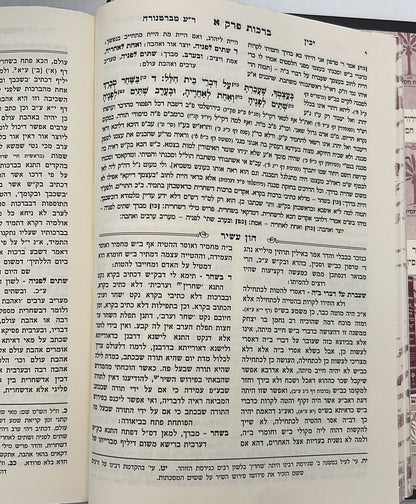 משניות עם פירוש הון עשיר ו' כרכים / רבינו רפאל עמנואל חי ריקי זיע"א