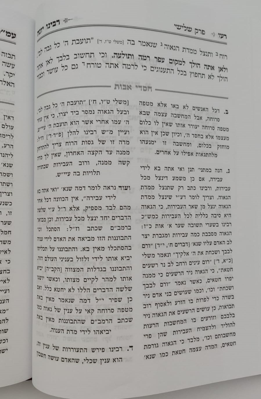 פירוש רבינו יונה על מסכת אבות - עם ביאור חסדי אבות / הרב אהרן דוד גולדברג שליט"א