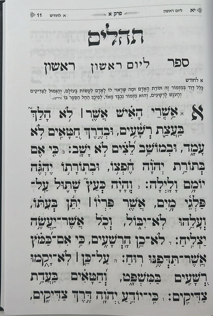 תהילים בינת הלב - דמוי עור צבע ורוד עם כתר / פורמט בינוני