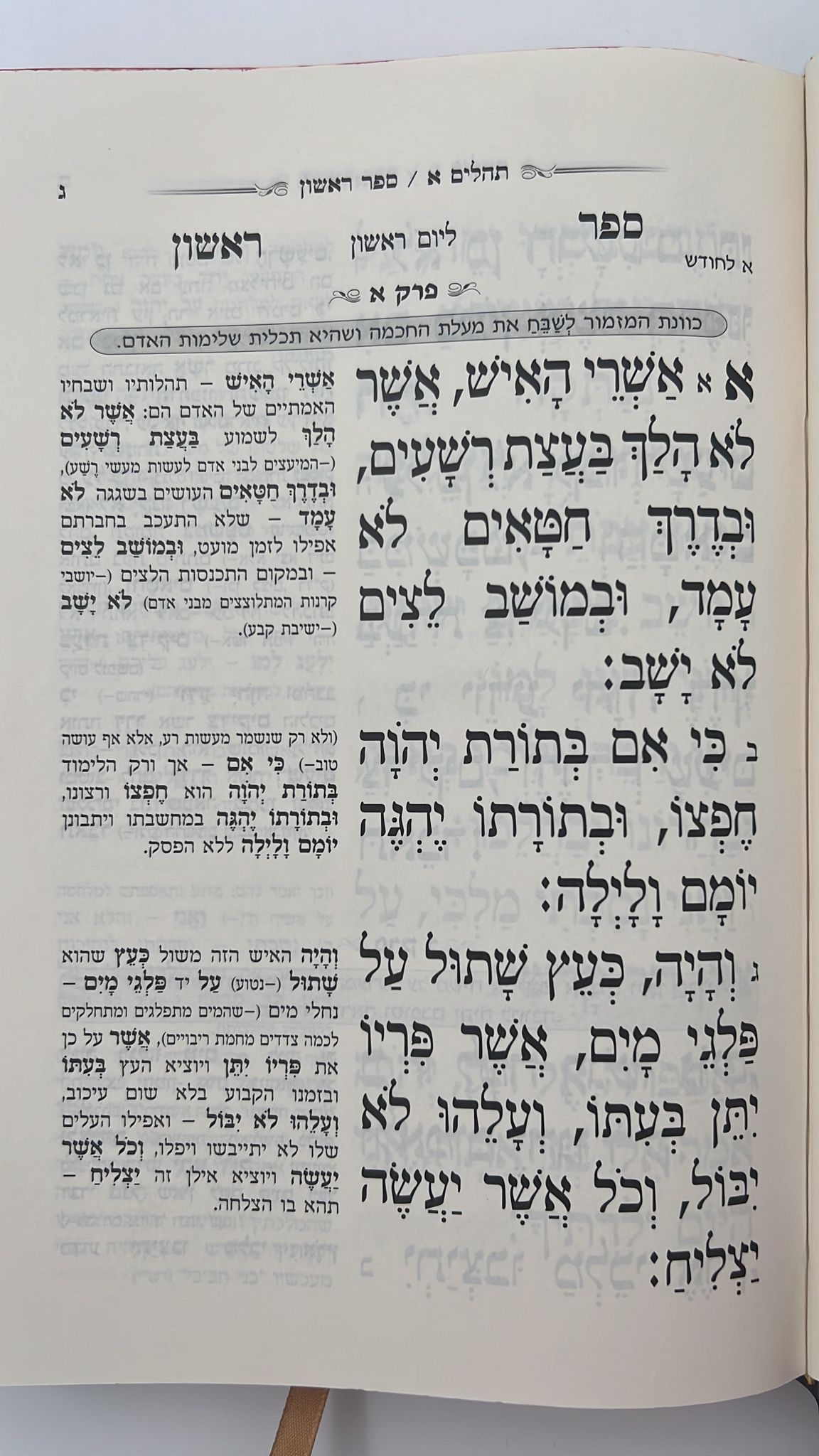 תהילים המפורש - ללא מבוא / פורמט גדול