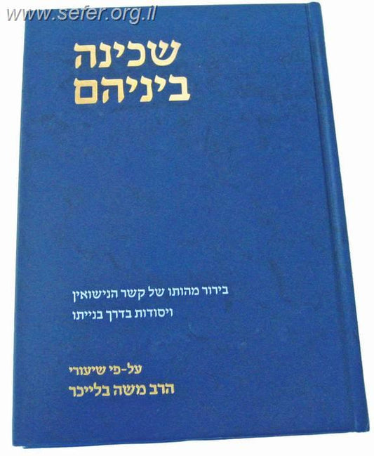 שכינה בינהם / הרב משה בלייכר