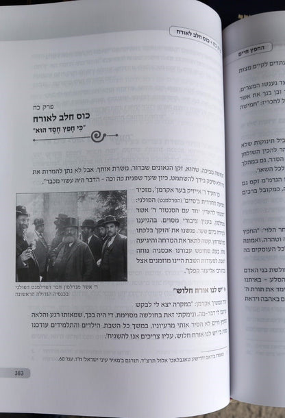 החפץ חיים - תולדות חיי איש וביתו / רבי ישראל מאיר הכהן מראדין זצוק"ל