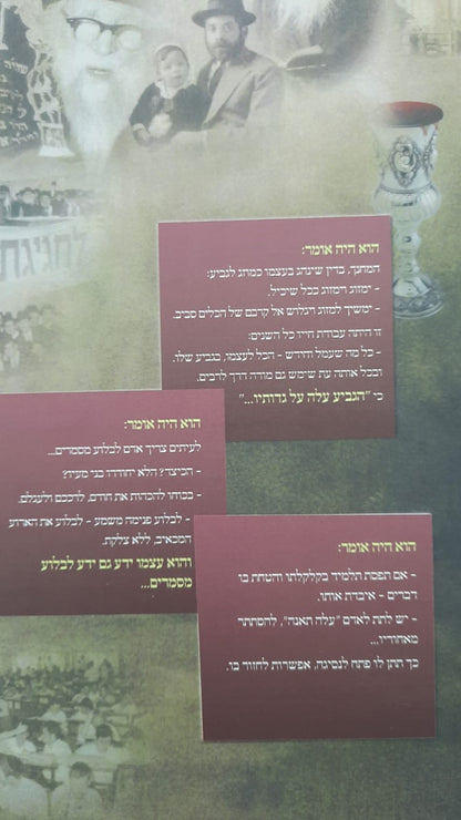 המשגיח ר' מאיר - הגביע שעלה על גדותיו / תולדות חייו של מרן הגה"צ רבי מאיר חדש זצ"ל