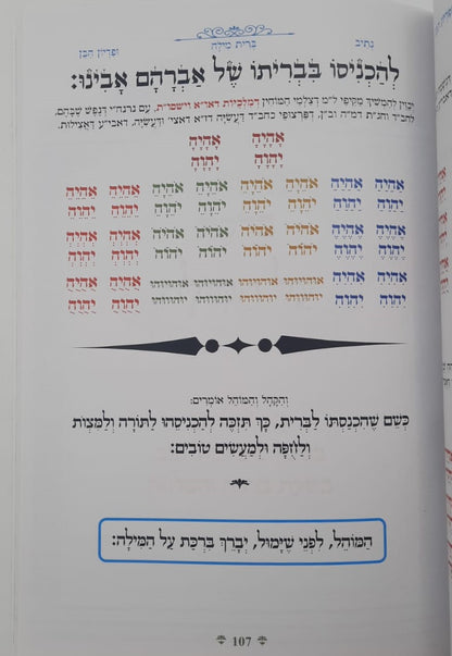 נתיבות שלום - נתיב ברית מילה ופדיון הבן / לפי סדר הרש"ש זלה"ה