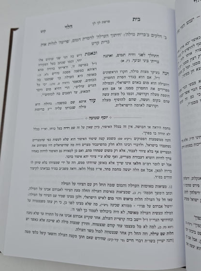 בית הלוי - על התורה / עם ביאור יוסף שמועה