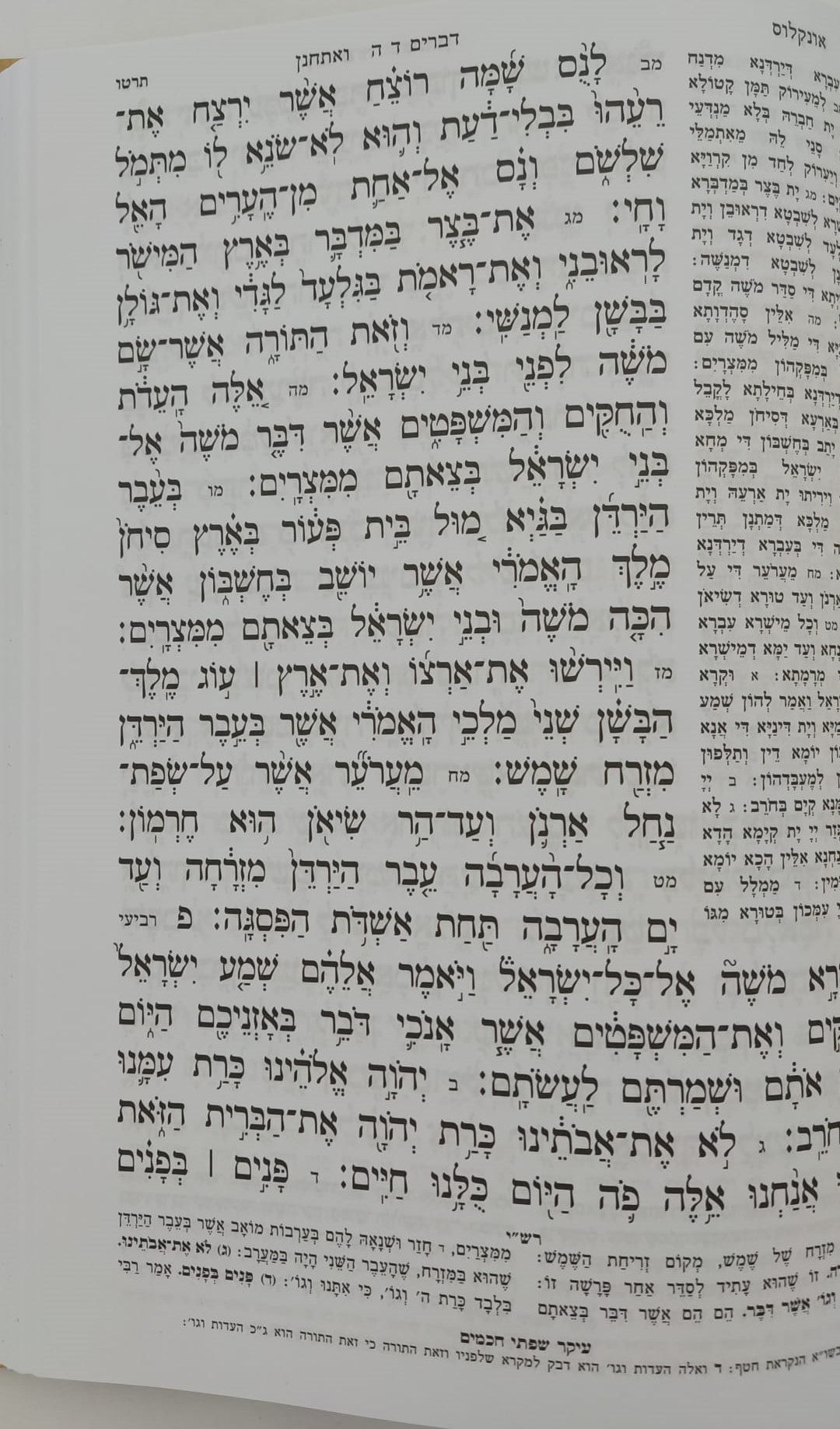 חמשה חומשי תורה מהדורת בית כנסת - פורמט גדול / אור דוד