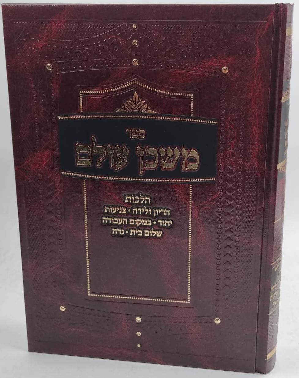 משכן עולם - הלכות הריון ולידה, יחוד, צניעות, במקום העבודה, שלום בית, נידה