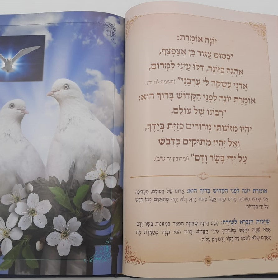 פרק שירה - עם ביאור הפסוקים ושייכות הנברא לשירה / פורמט ענק