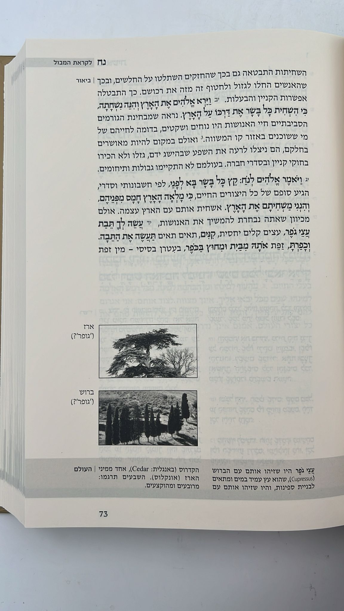 התנ"ך המבואר סט חמישה חומשי תורה ה' כרכים / הרב עדין שטיינזלץ
