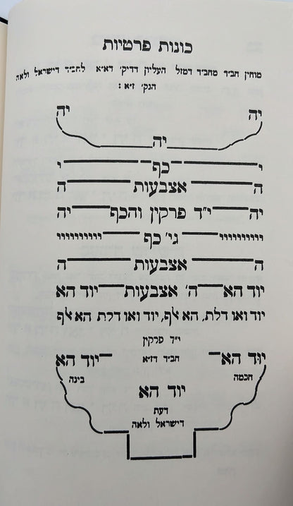 פתח עיניים החדש - על סידור הרש"ש זיע"א כרך יא' / רבי שריה דבליצקי זצ"ל