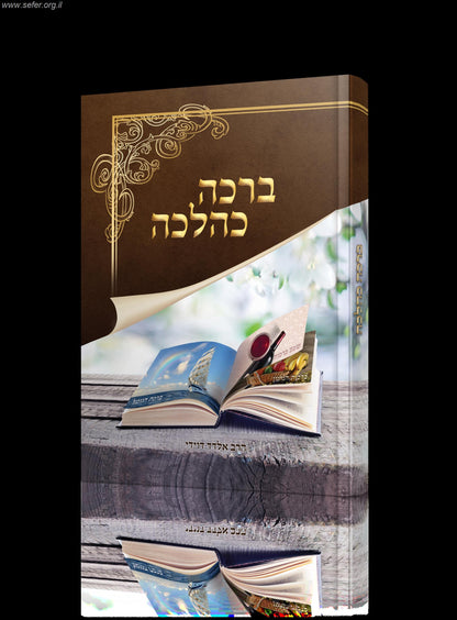 ברכה כהלכה / הרב אלדד דוידי