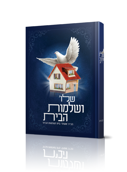 שלום ושלמות הבית (לגברים) / רות ולדמן