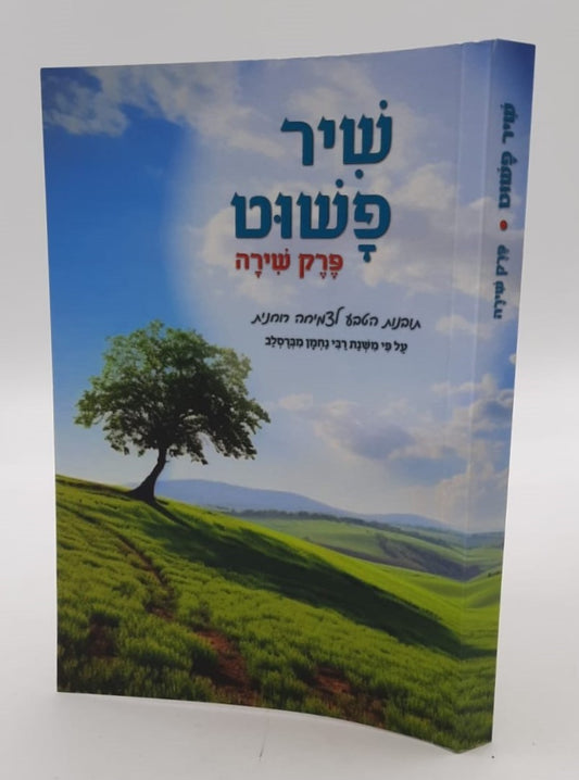 שיר פשוט - פרק שירה / על פי משנת רבי נחמן מברסלב