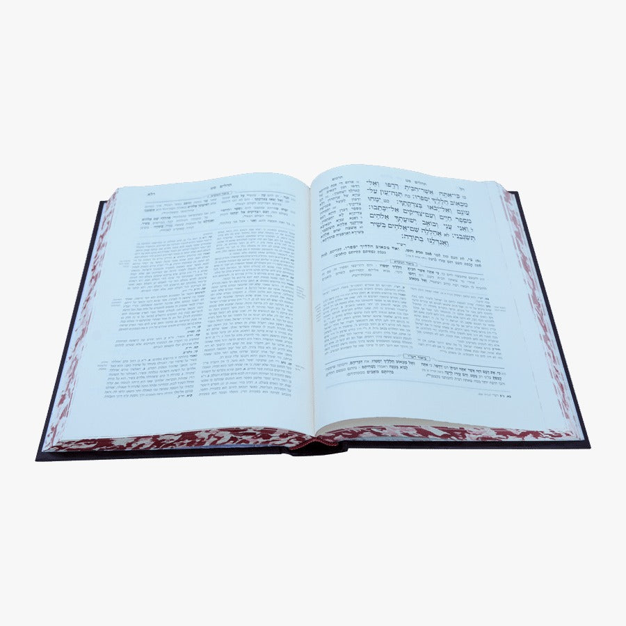 מקרא מפורש על הנ"ך - תהילים ב' / עוז והדר