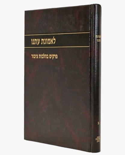 לאמונת עתנו ב' - פרקים בהלכות ציבור / הרב צבי ישראל טאו