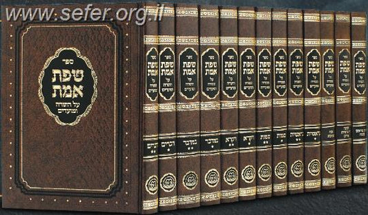 שפת אמת על התורה י' כרכים / מכון בני בינה