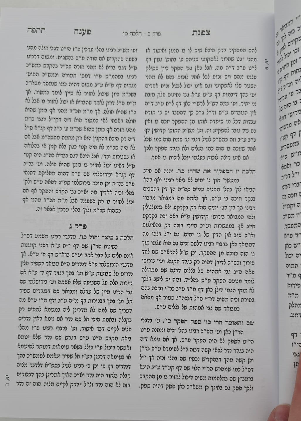 צפנת פענח השלם - על הרמב"ם סט ב' כרכים / מכון עלה זית