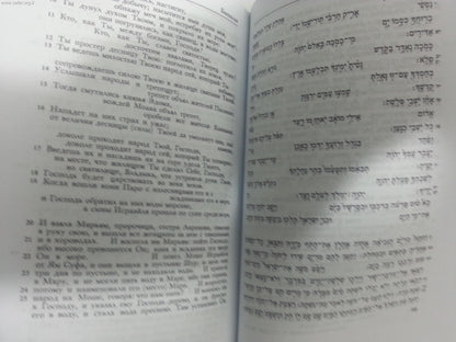 חומש עם תרגום רוסי – עם הפטרות