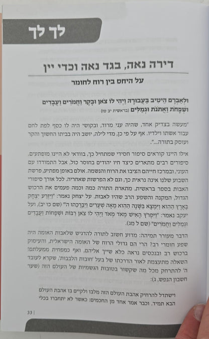 עיוני אי"ה חלק ג' / גיל דביר