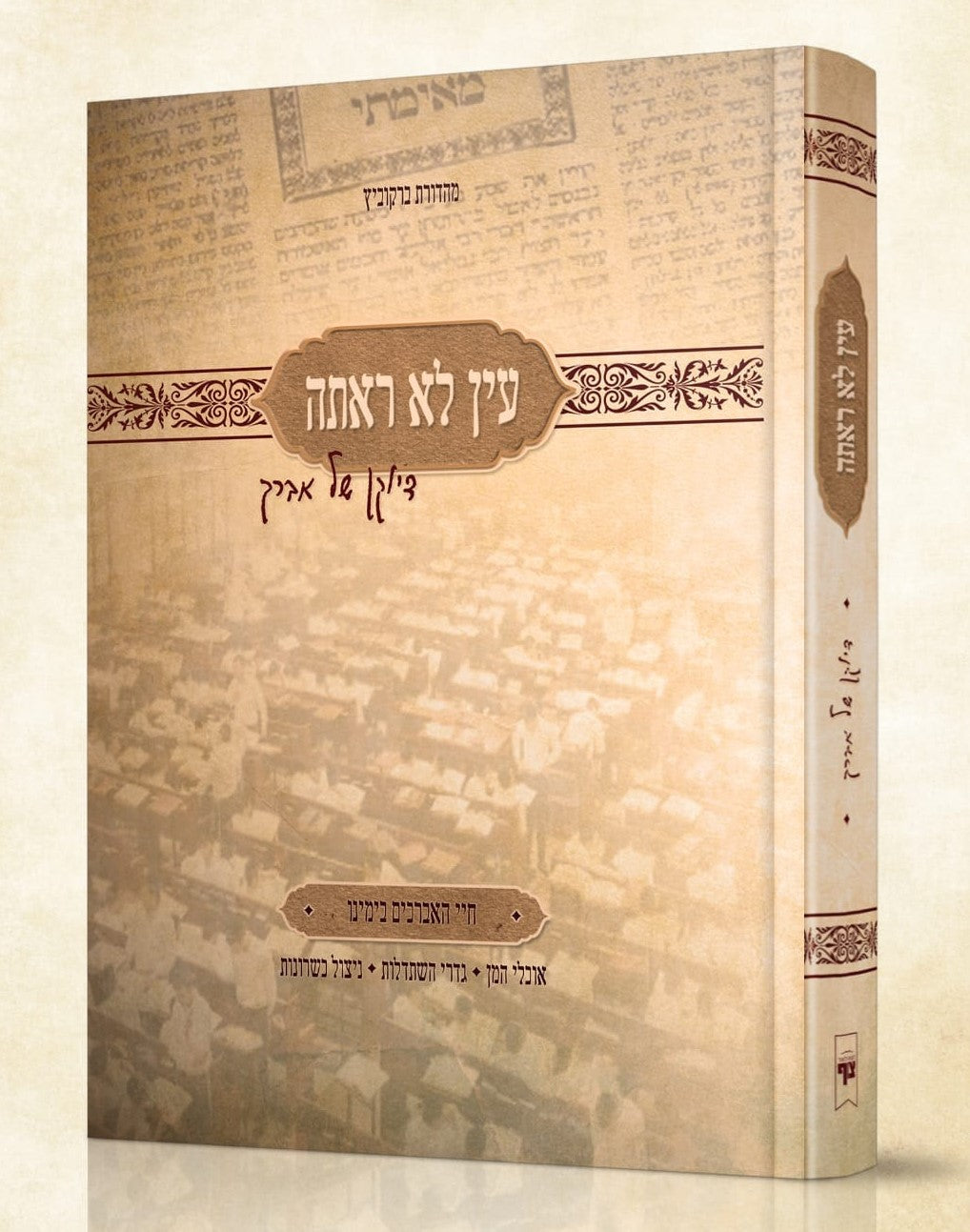 עין לא ראתה - דיוקן של אברך / חיי האברכים בימינו