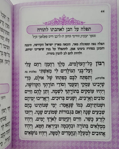 קונטרס וזכני / הרב אדיר עמרוצי