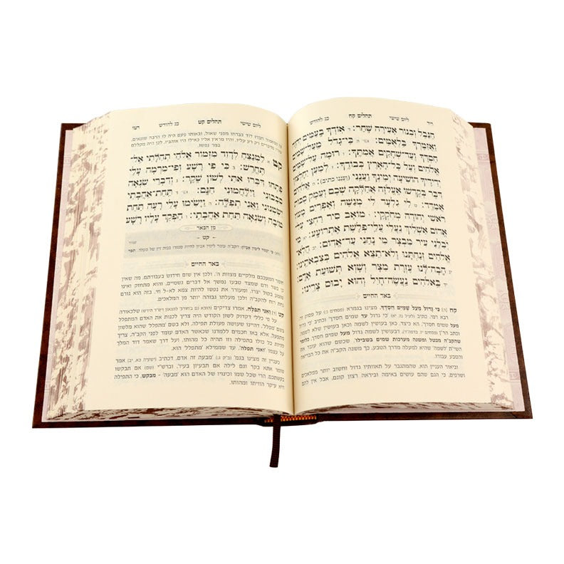 תהילים באר החיים - מן הבאר / ר' אברהם אלימלך בידרמן