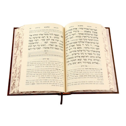 תהילים באר החיים - מן הבאר / ר' אברהם אלימלך בידרמן