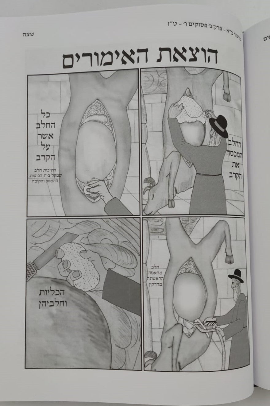 שיעורים בספר ויקרא - חלק א' / לתלמידים הורים ומלמדים