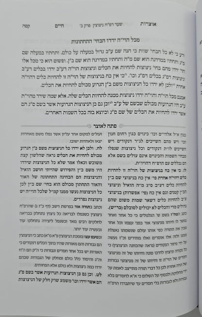 אוצרות חיים למהרח"ו - פתח לאוצר / חלק ב'