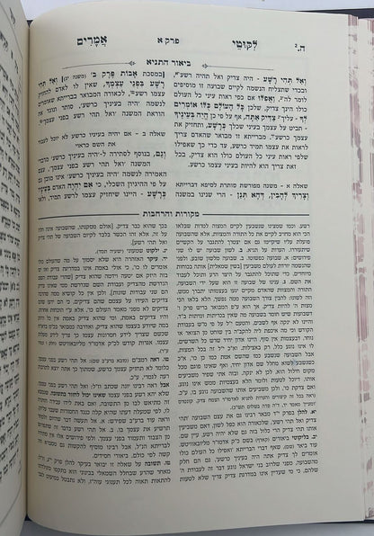 ליקוטי אמרים תניא עם ביאור משולב - חלק א' (פרקים: א'-ח') / עוז והדר
